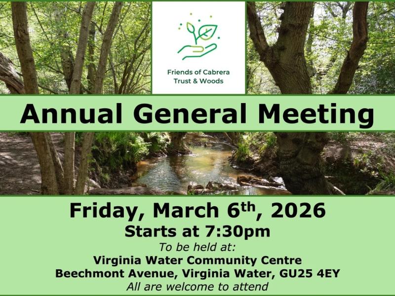 Annual General Meeting